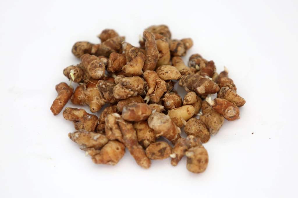 3 Khasiat Air Kencur yang Luar Biasa